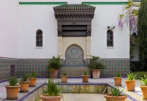 green potted plants on brown brick floor