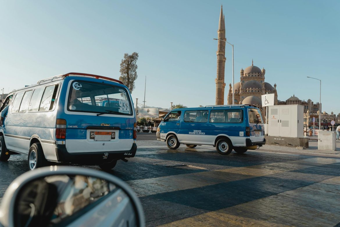 buses on street